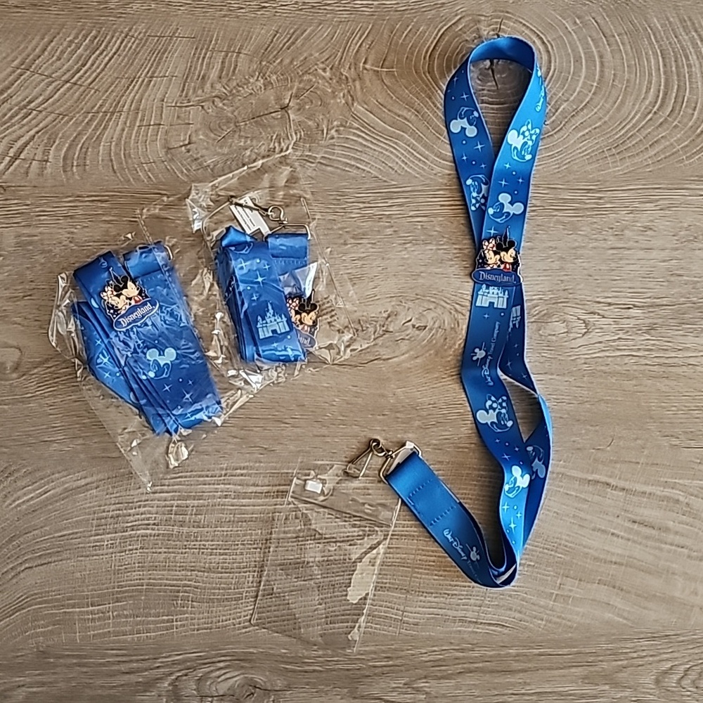 Disney lanyards